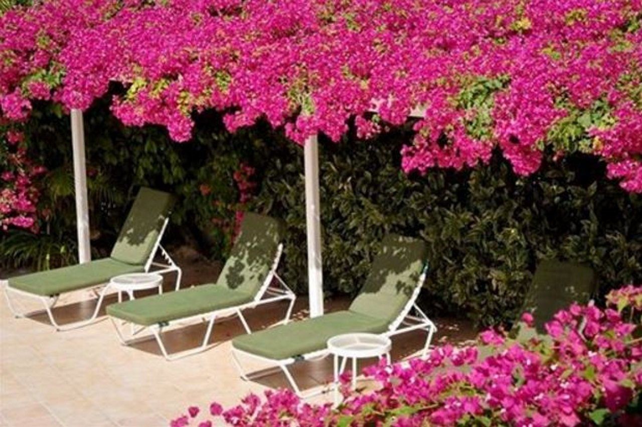 Trade Winds Hotel Golful Dickenson Exterior foto