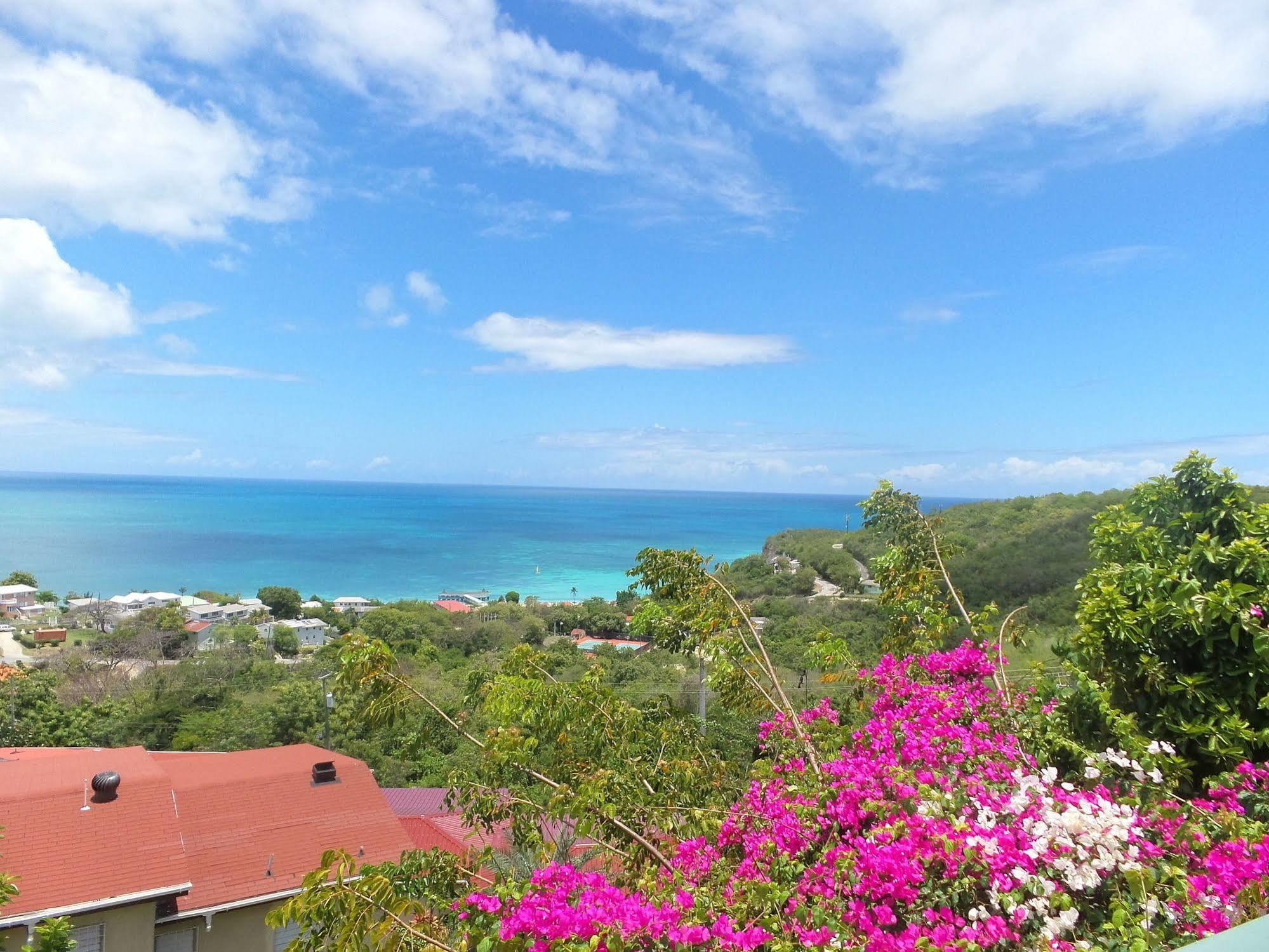 Trade Winds Hotel Golful Dickenson Exterior foto